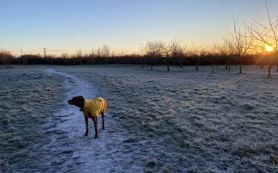 A Clinical Reflection on Myofascial Release